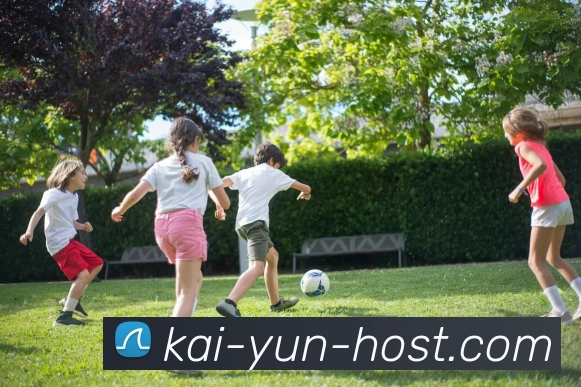 开云平台展示图