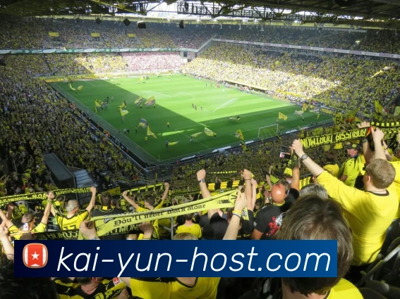 开云体育APP打造全新智能体育娱乐体验引领全球赛事互动新潮流